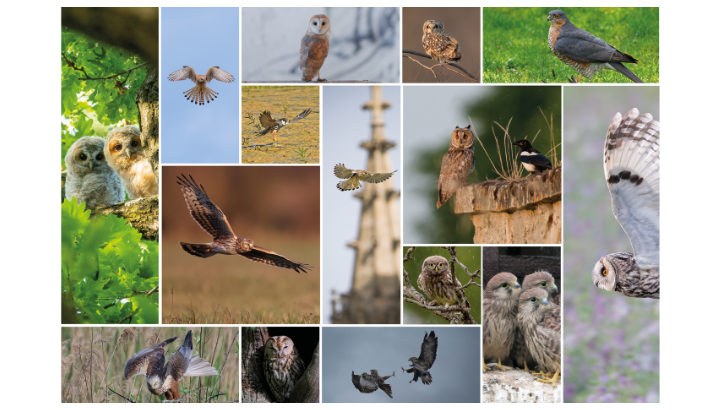 Concours photos 2026